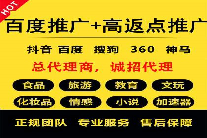 竞价广告在XX行业的成功应用案例